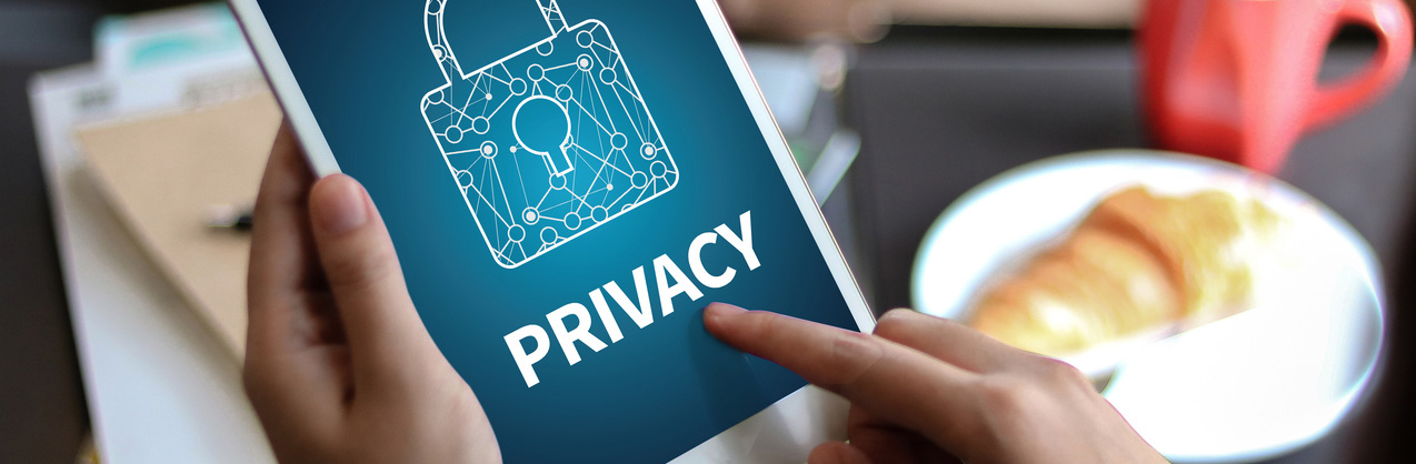 CarTek Consulting - Privacy